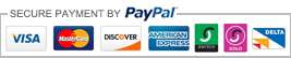 paypal payment identify